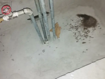 雨湖卫生间测漏水价格明细