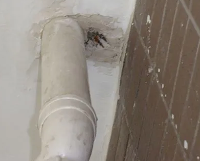 雨湖漏水检测哪家好